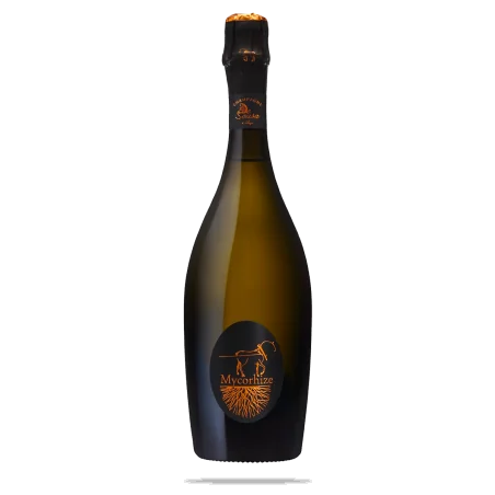 %brand% %product-name%