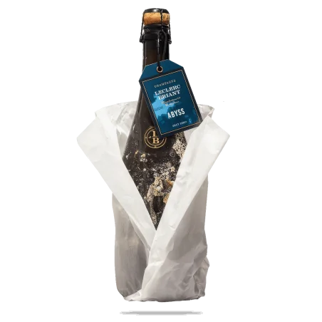 Bouteille de champagne Abyss 2018 Brut Nature immergée pour vieillissement sous-marin