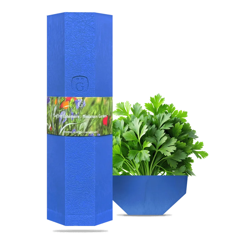 (coffret éphémère) Cuvée Esprit Brut Nature