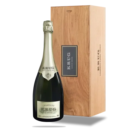 Clos du Mesnil 2009 (EN)