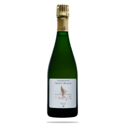 %product-name% %brand%