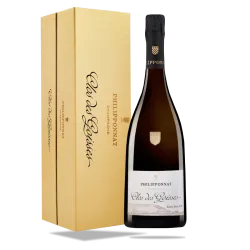 2013-champagne-philipponnat-