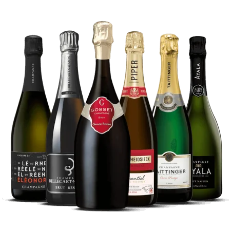 Pépites en Champagne (EN)