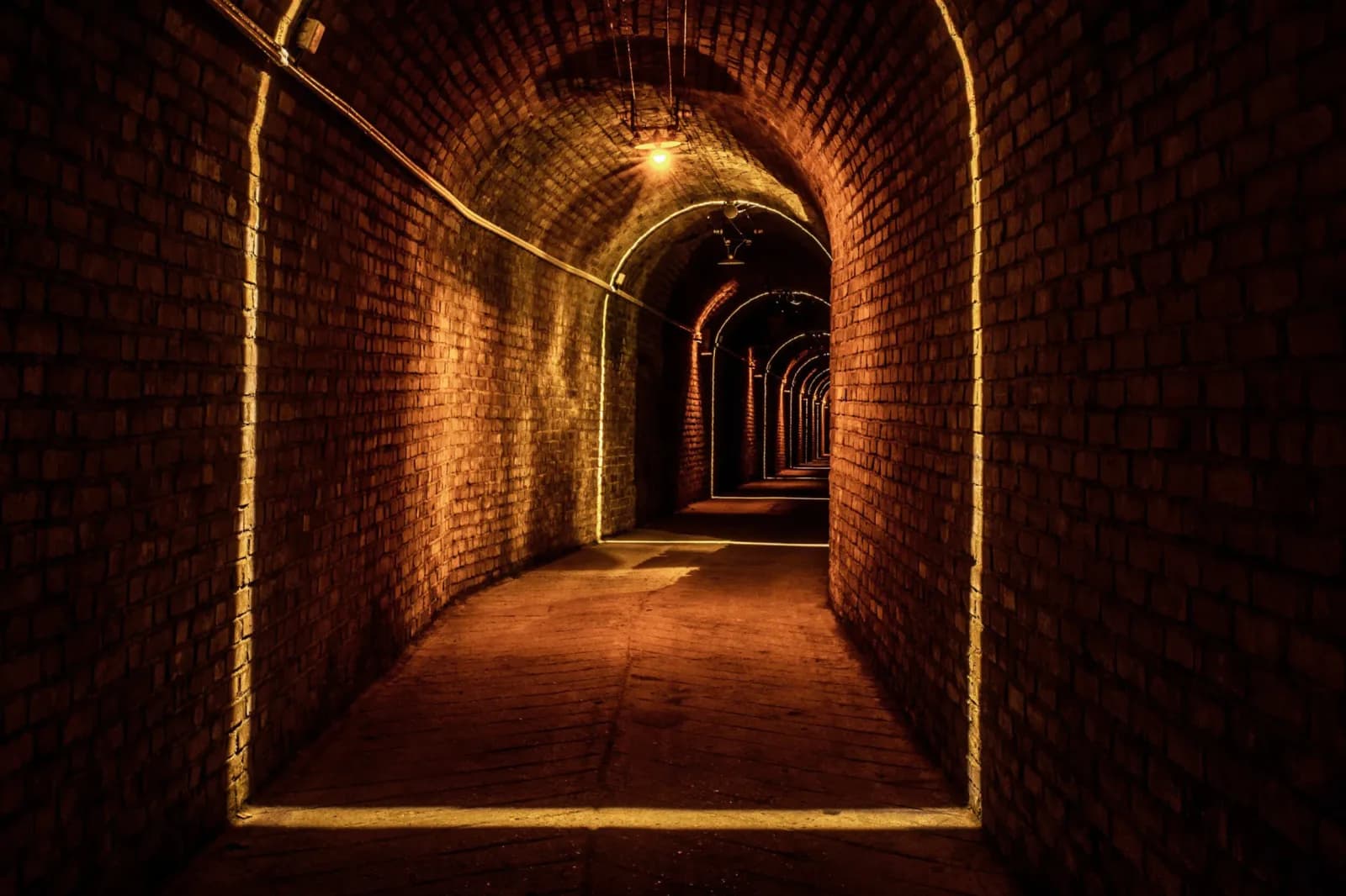 Louis Roederer Estate in Champagne — vineyards and cellars on the Marne