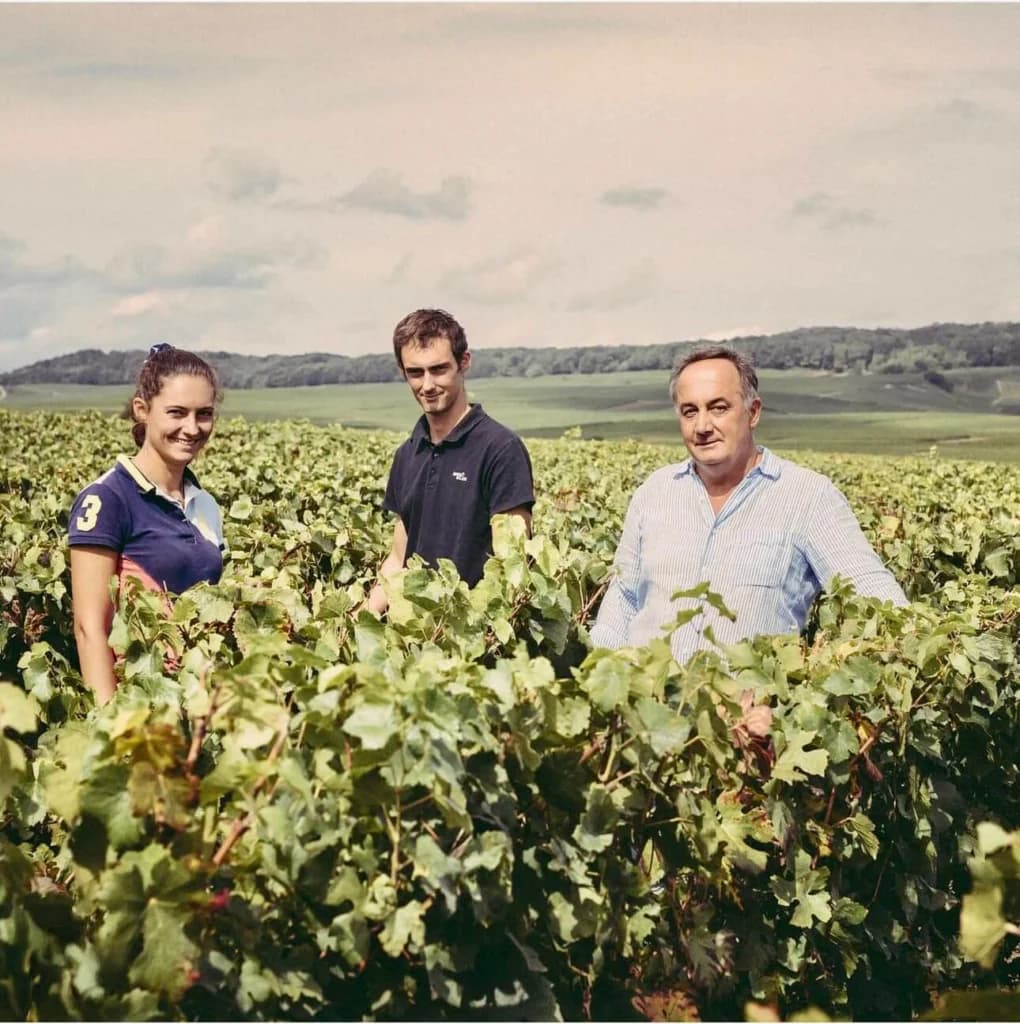 Domaine Egly-Ouriet en Champagne — una bodega familiar e independiente