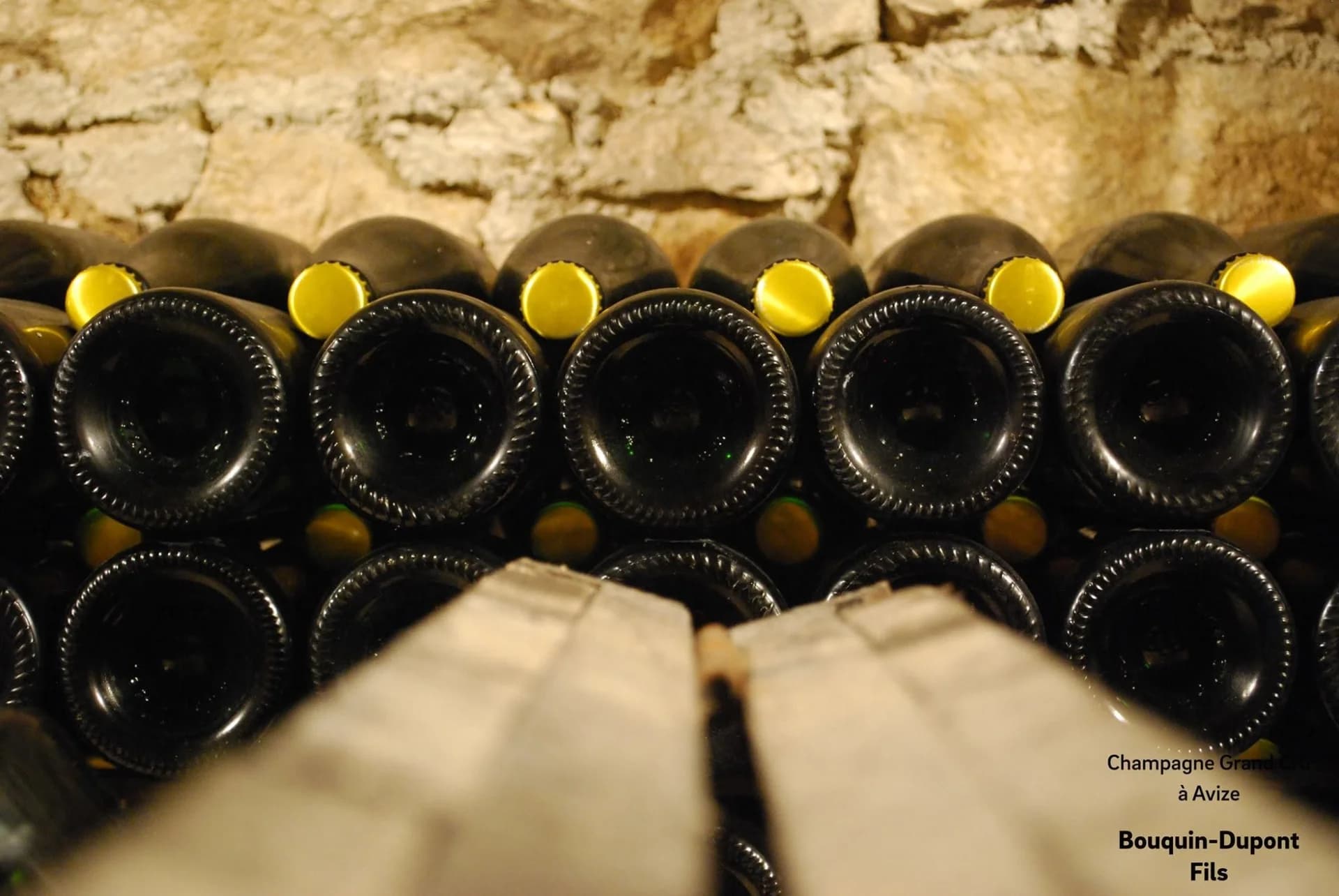Champagne Bouquin Dupont Fils