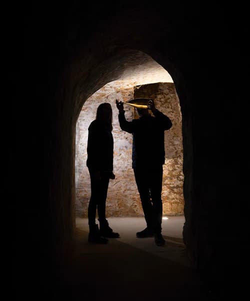 Domaine Frerejean Frères en Champagne: una experiencia inmersiva