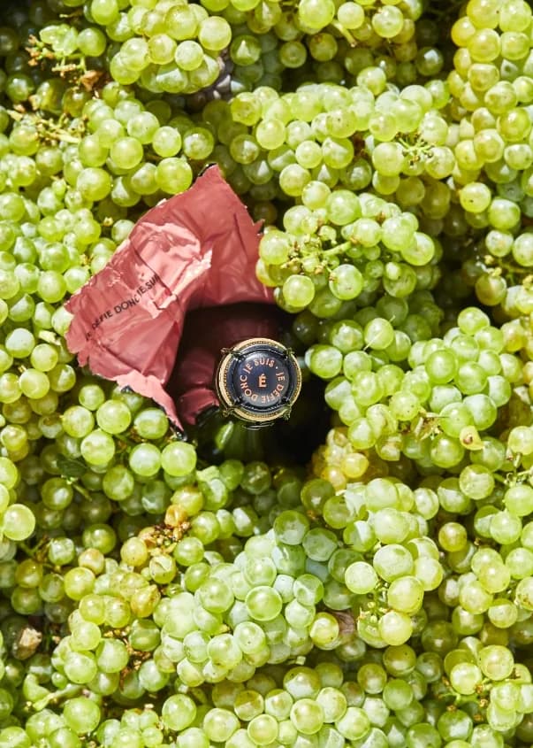Champagne Eleonore — Blanc de Blancs Grand Cru,