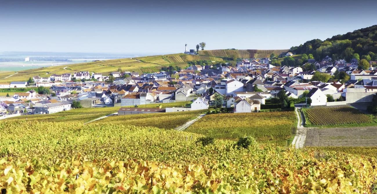 Louis Roederer Cristal Champagne — a prestigious cuvée established in 1876