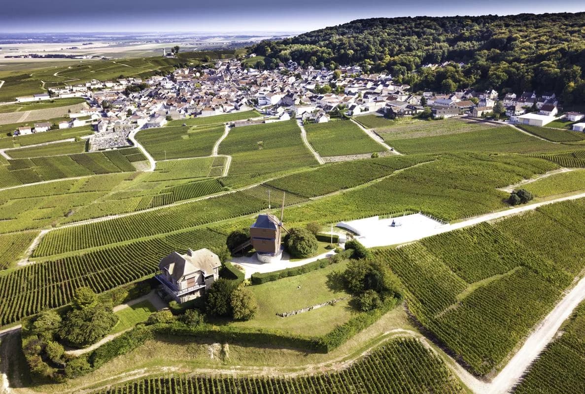 Louis Roederer Estate in Champagne — vineyards and cellars on the Marne