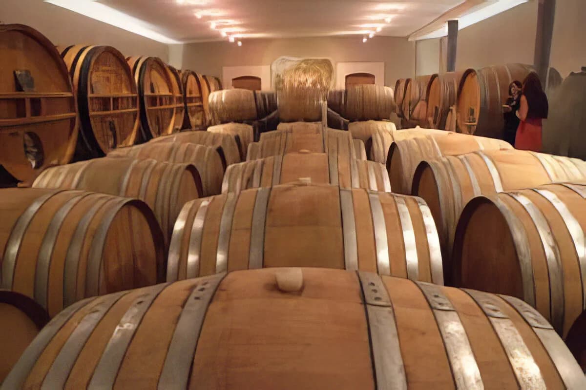 Champagne Larmandier-Bernier — les cuvées
