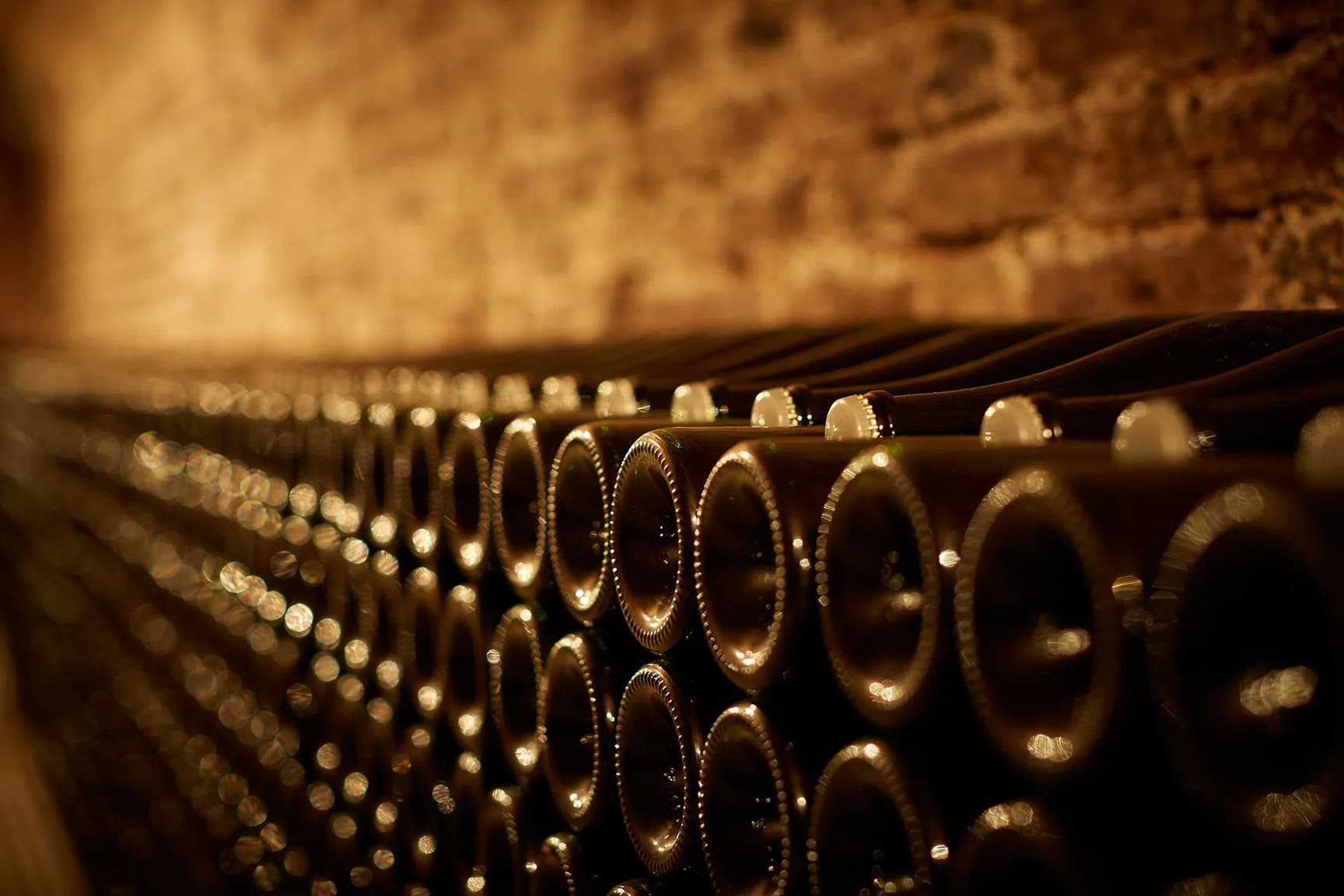 Domaine Leclerc Briant in Champagne — The cellars