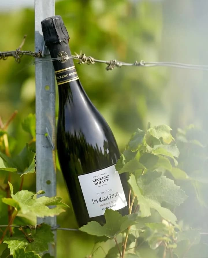 Leclerc Briant Champagne — Les Monts Ferrés