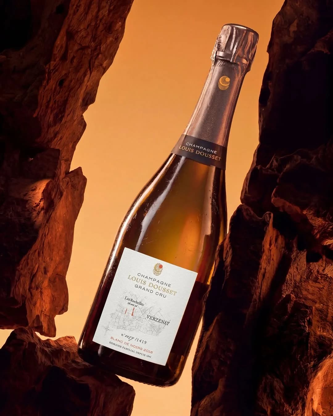 Champagne Louis Dousset — Blanc de noirs 2016