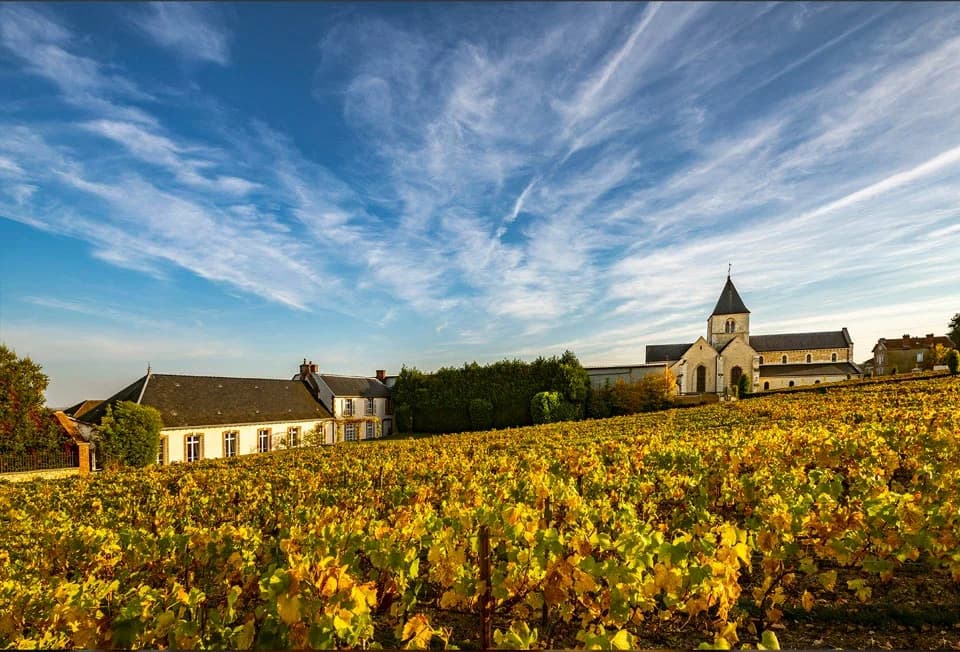 Domaine Salon — vignoble et caves de la Marne