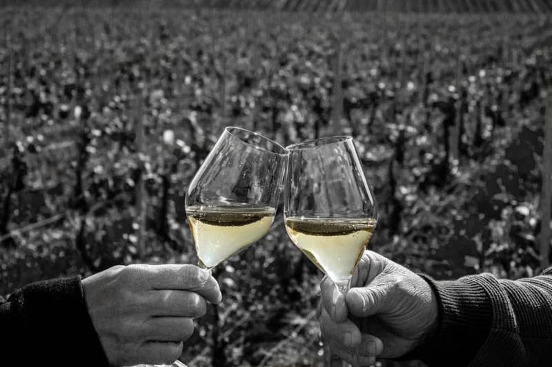 Champagne André Chemin — gamme de champagnes