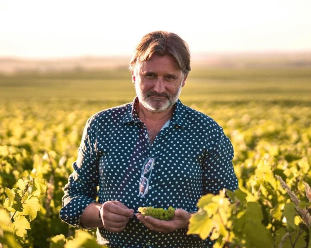 Domaine Péhu Simonet — viñedos y bodegas de la Marne