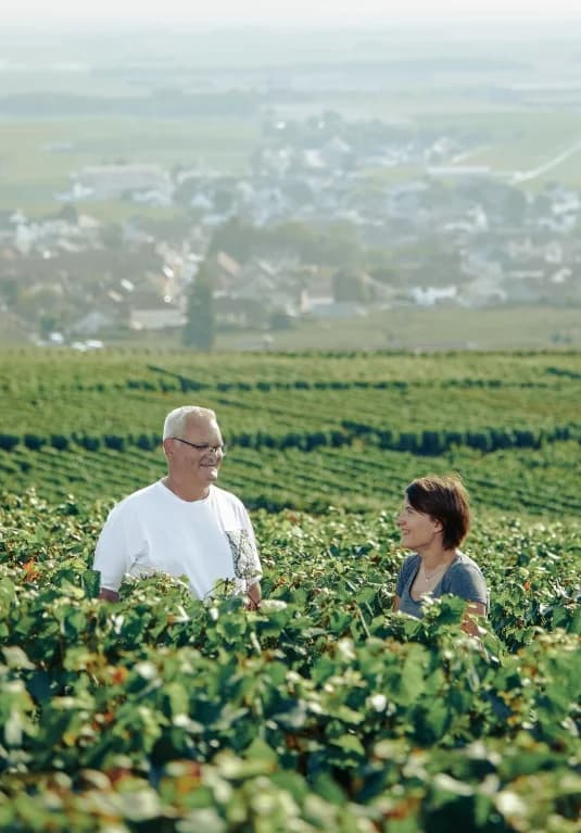 Domaine Eleonore en Champagne — maison familiale