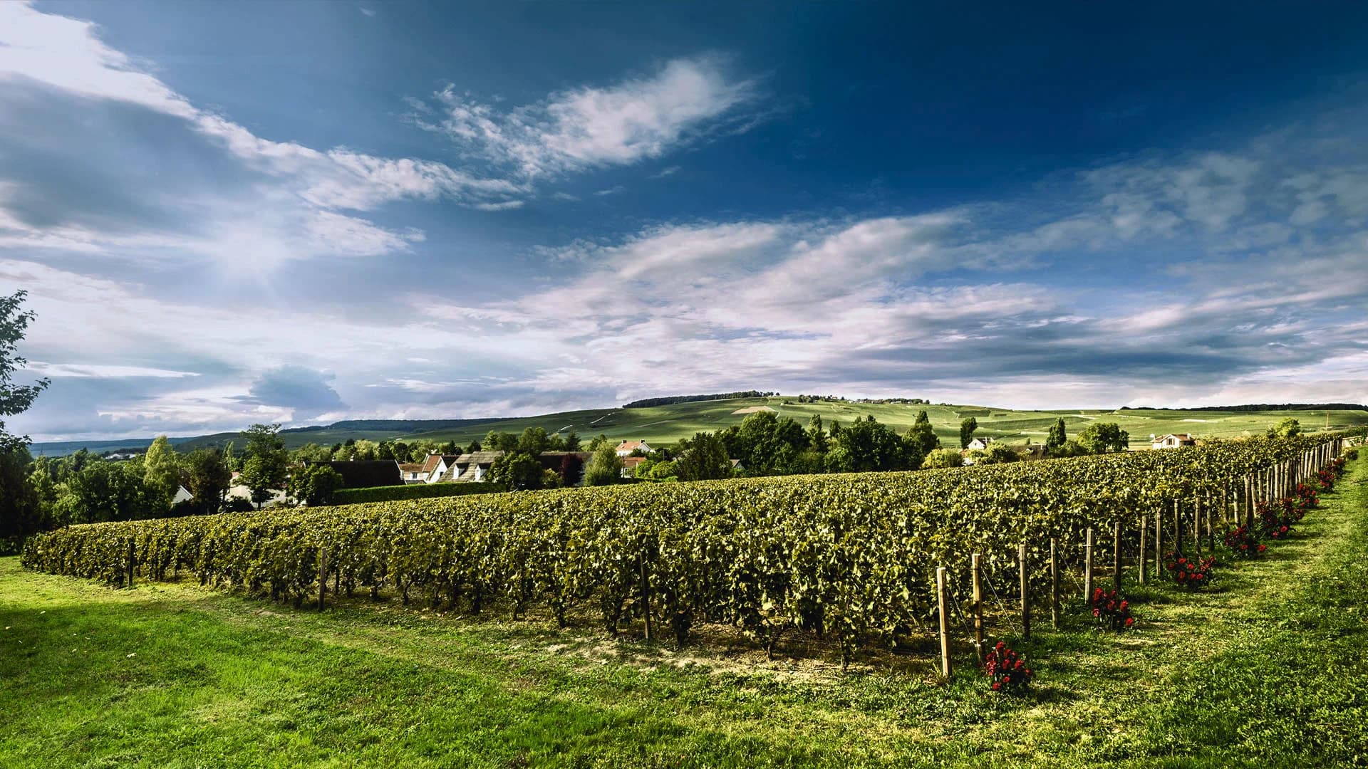 Billecart-Salmon Le Clos-Saint-Hilaire