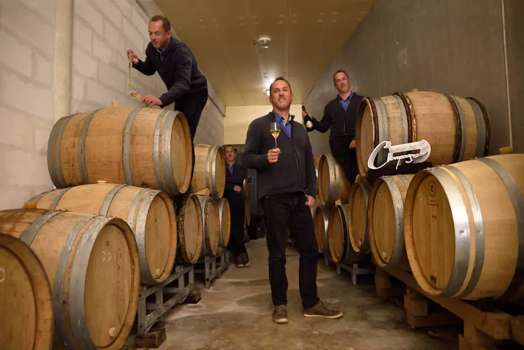 Domaine Louis Roederer en Champagne — vignoble et caves de la Marne