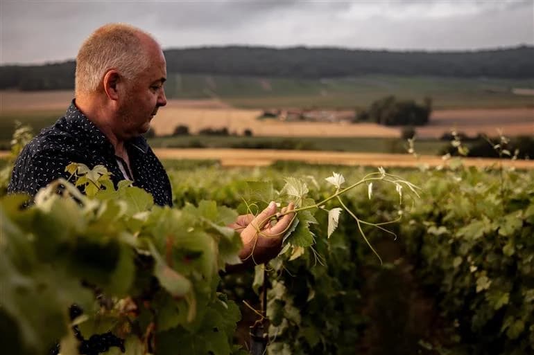 Domaine Éric Taillet — en el corazón del valle del Marne