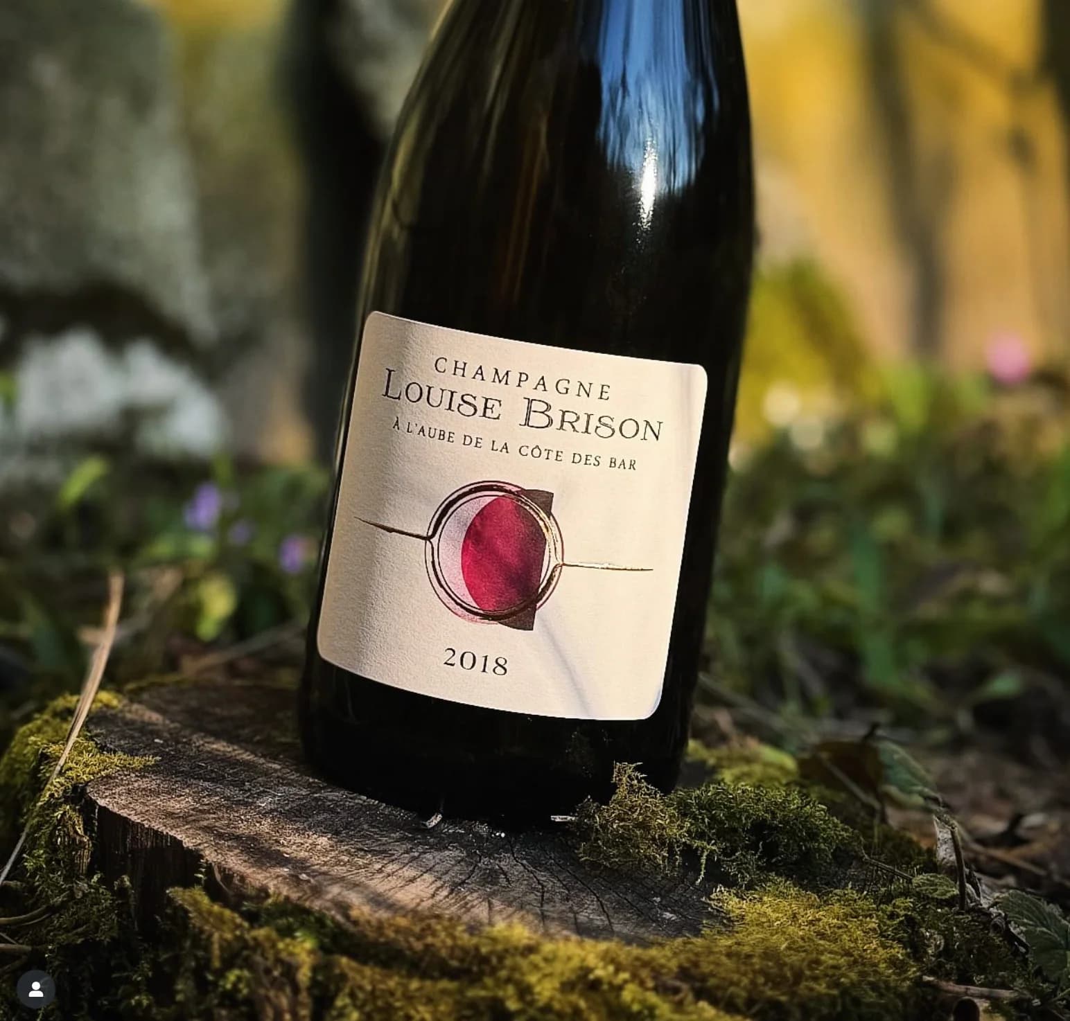 Champagne Louise Brison — «À l'aube de la côte des bars» 2018