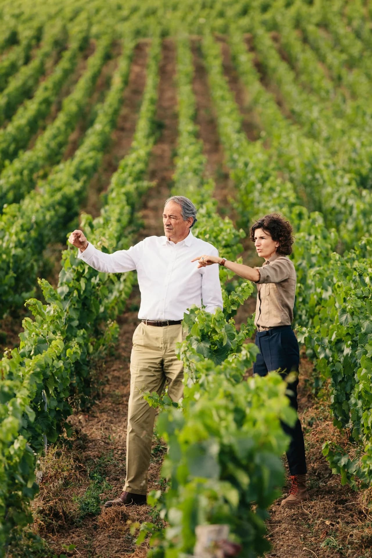 Champán Bruno Paillard