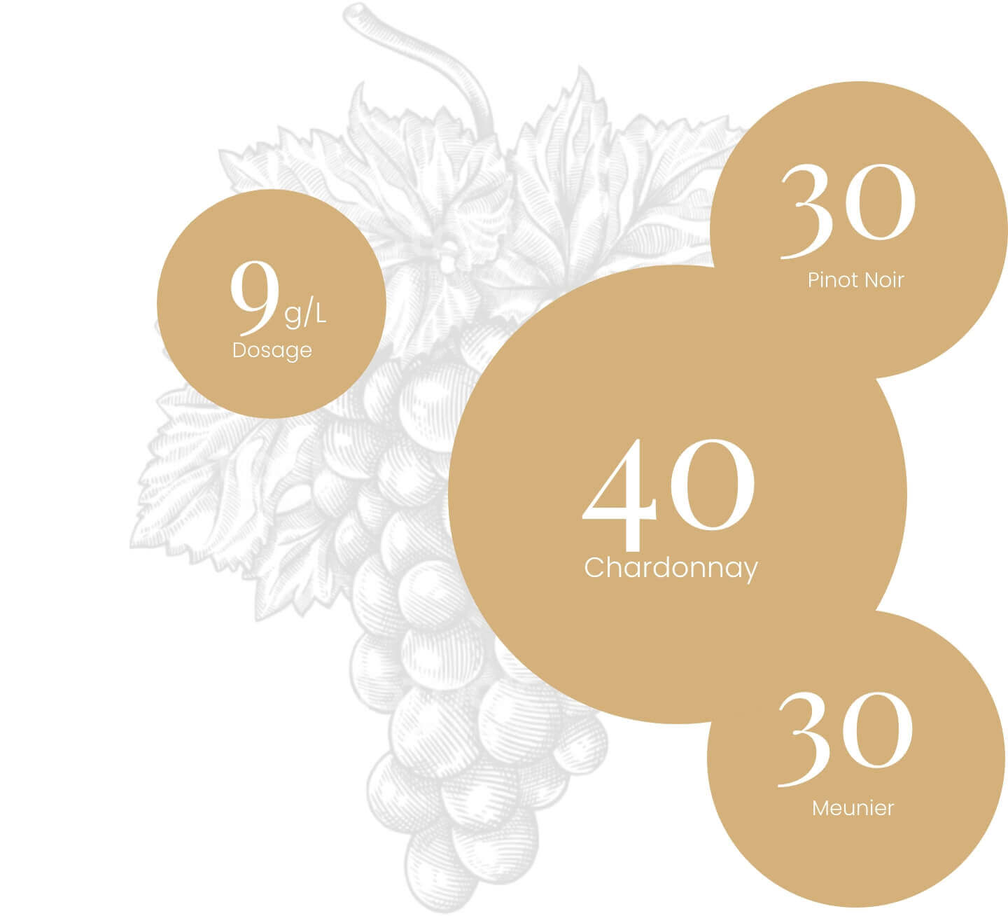 Grape varieties-Champagne