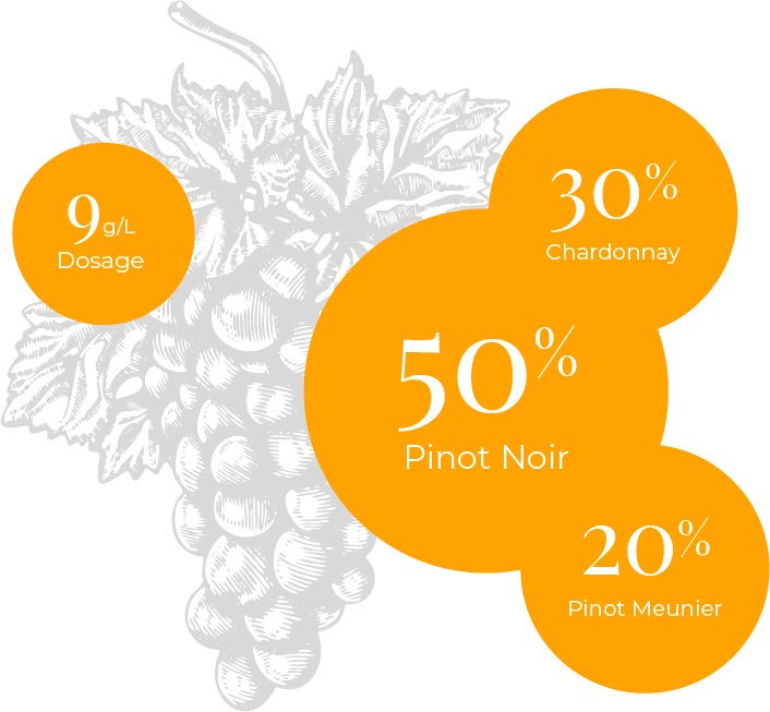 Cépages Champagne Carbon