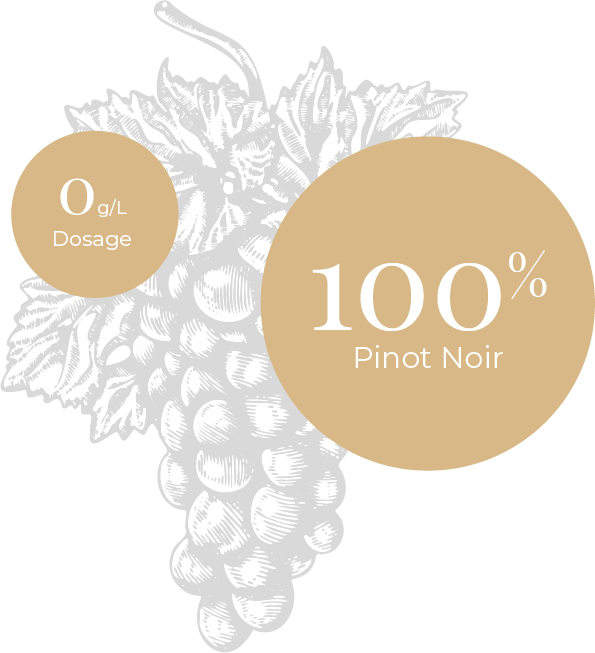 Terroir-Champagne-Ruinart