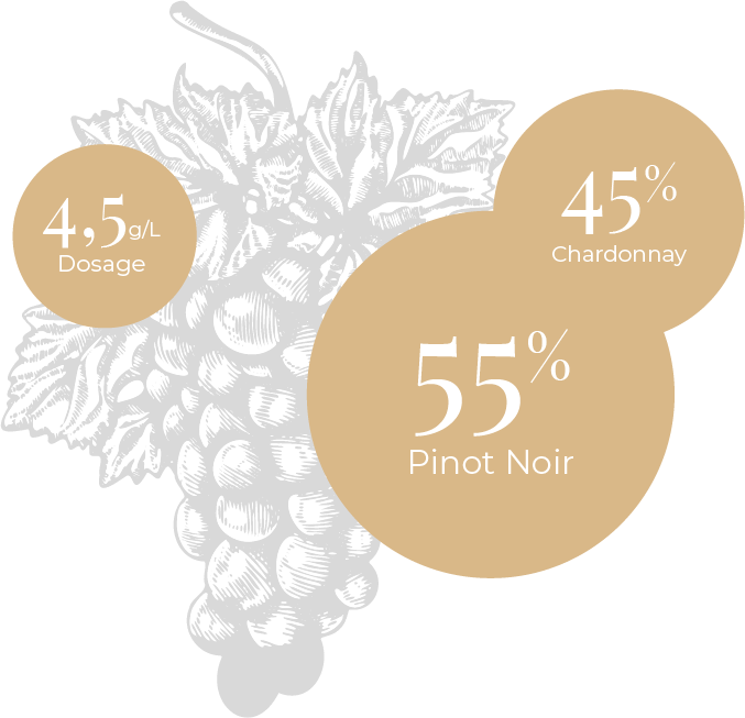 Terroir-Champagne-Ruinart