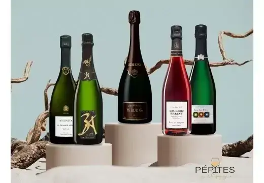 The 50 Best Champagne Brands in the World 2023