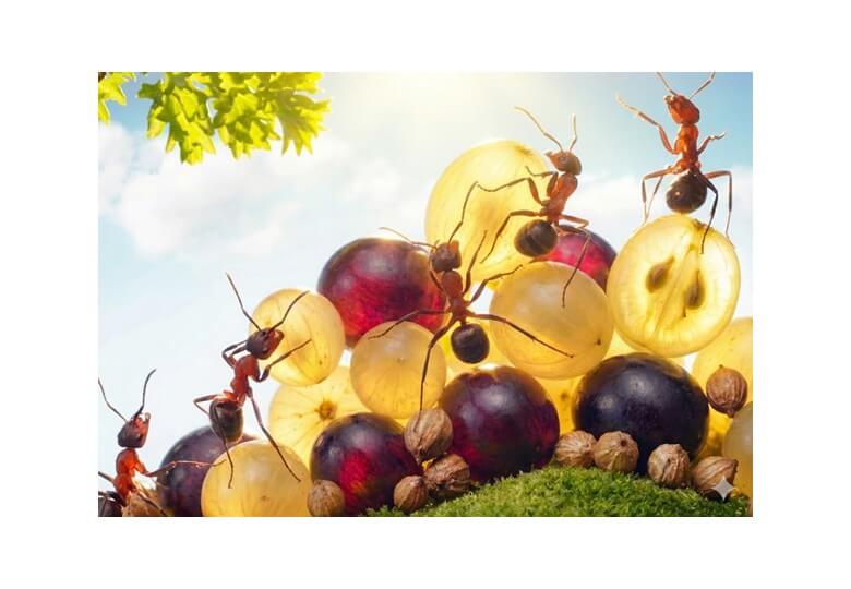 Comment reconnaître un grand vin de la rive gauche ?