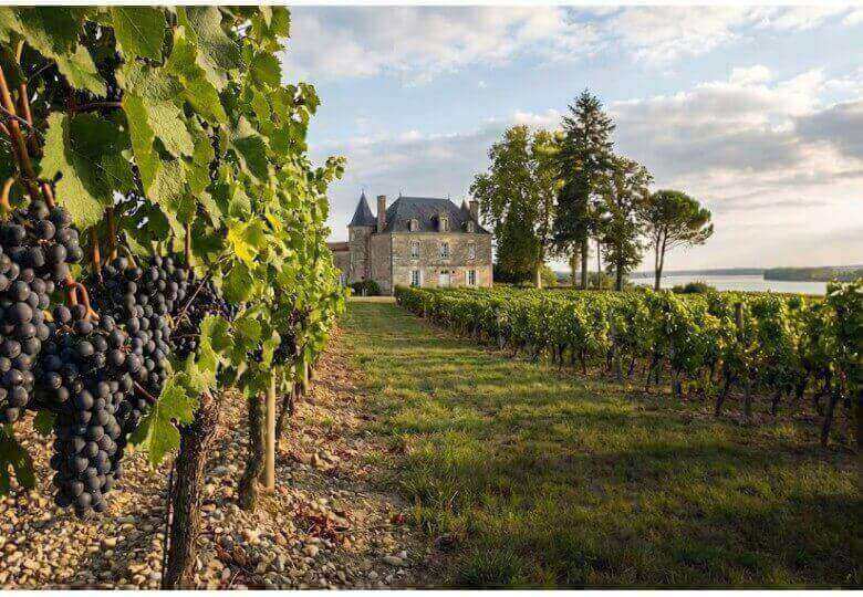 How can you recognize a great wine from the left bank?